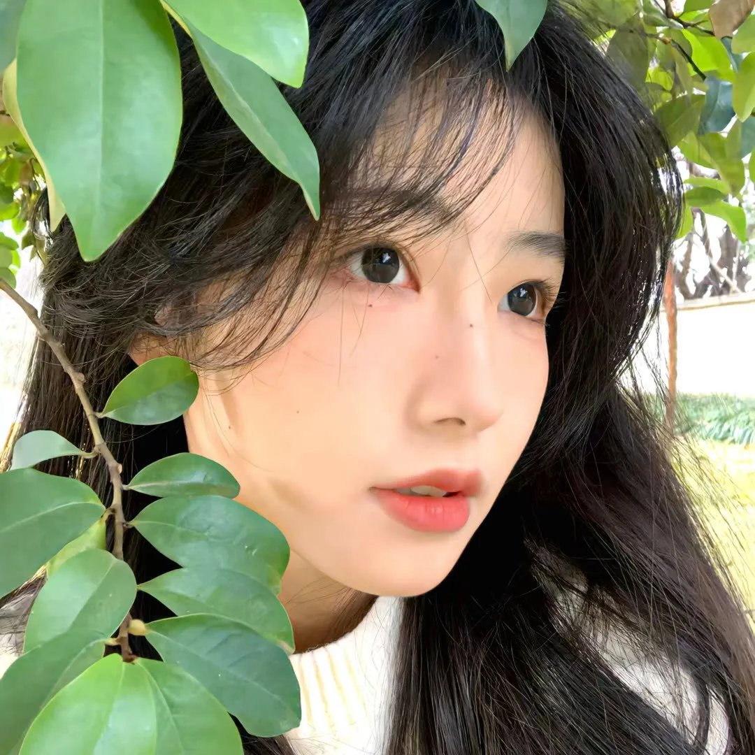 恋爱兵法